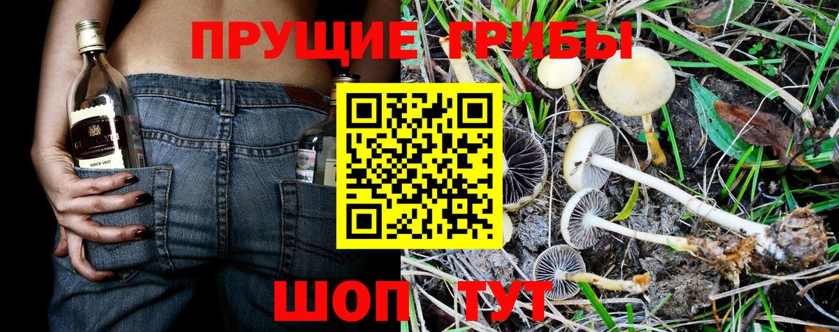 Галлюциногенные грибы мухоморы Лениногорск